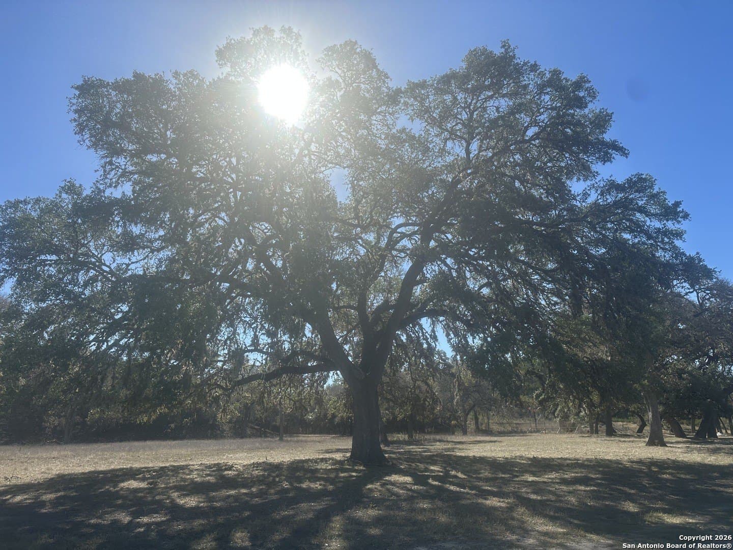 6 acres in Bandera County - photo 18