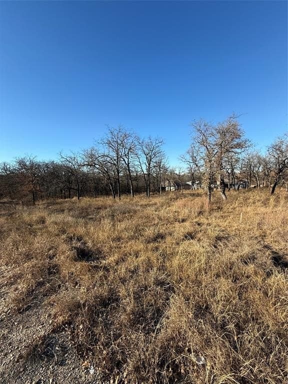 0.25 acres in Wise County gallery image 4