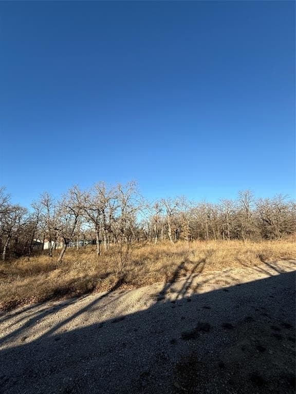 0.25 acres in Wise County gallery image 2