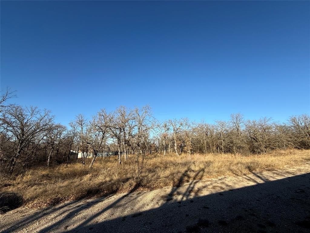 0.25 acres in Wise County gallery image 3