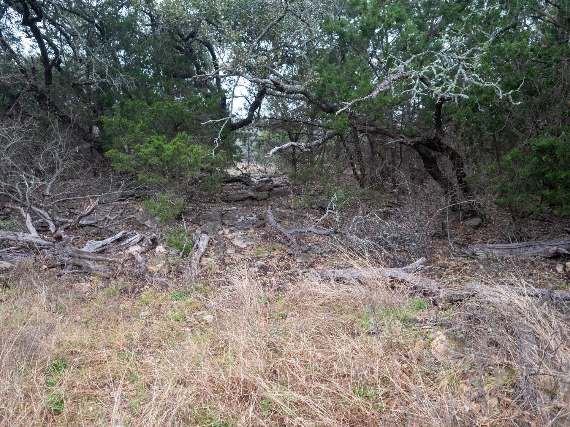 265.8 acres in San Saba County gallery image 4