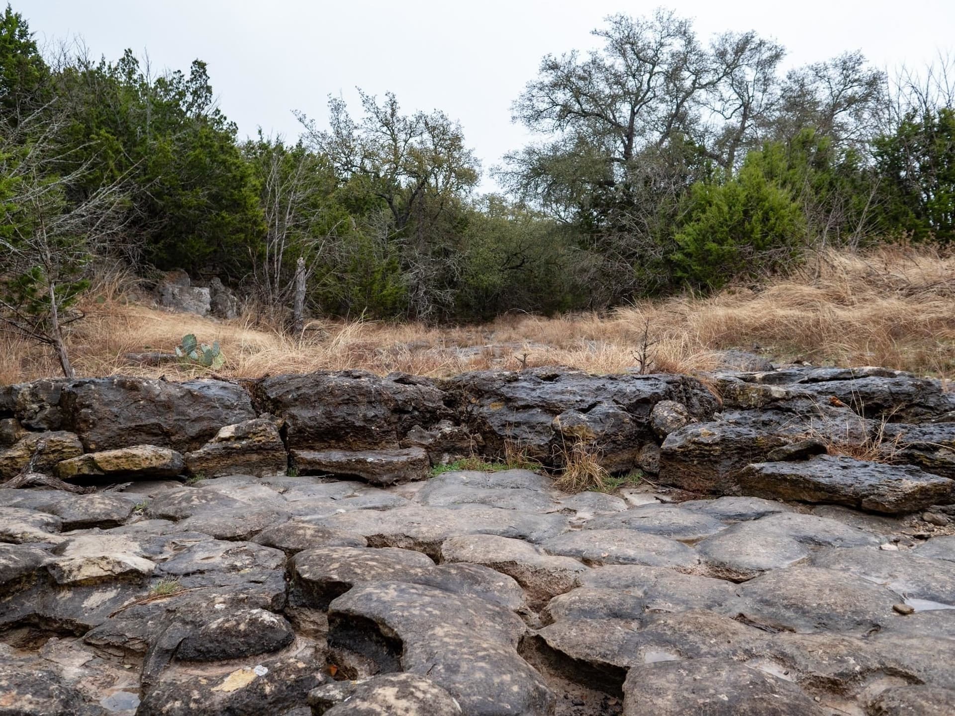 265.8 acres in San Saba County gallery image 3