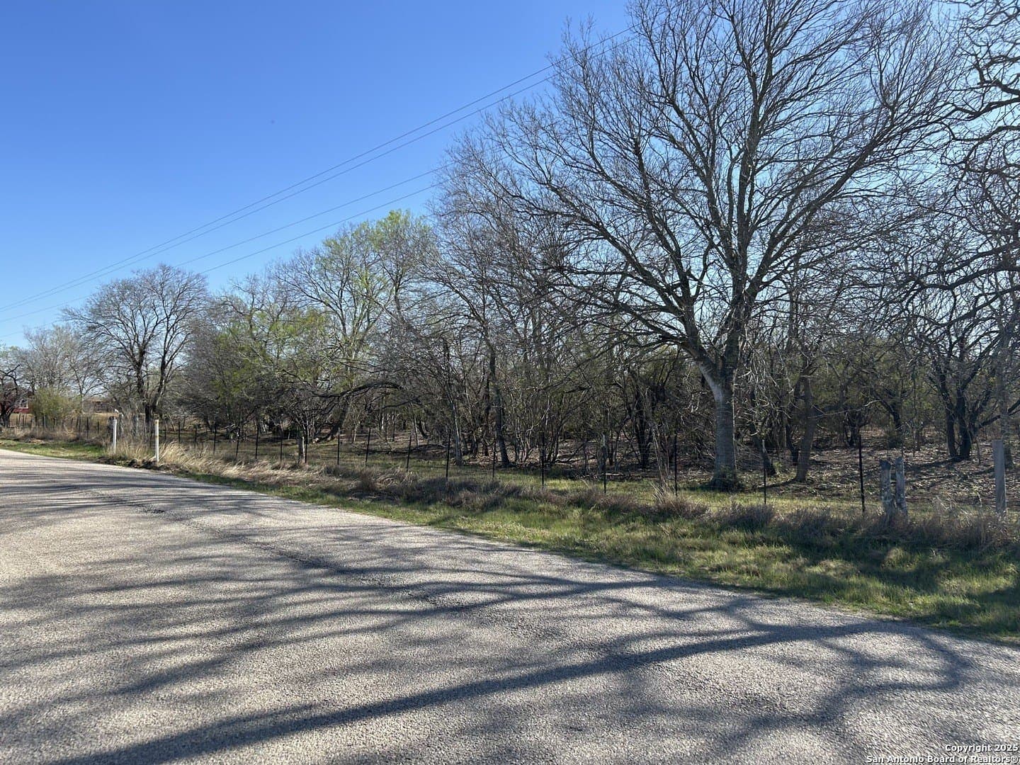 10 acres in Atascosa County gallery image 2