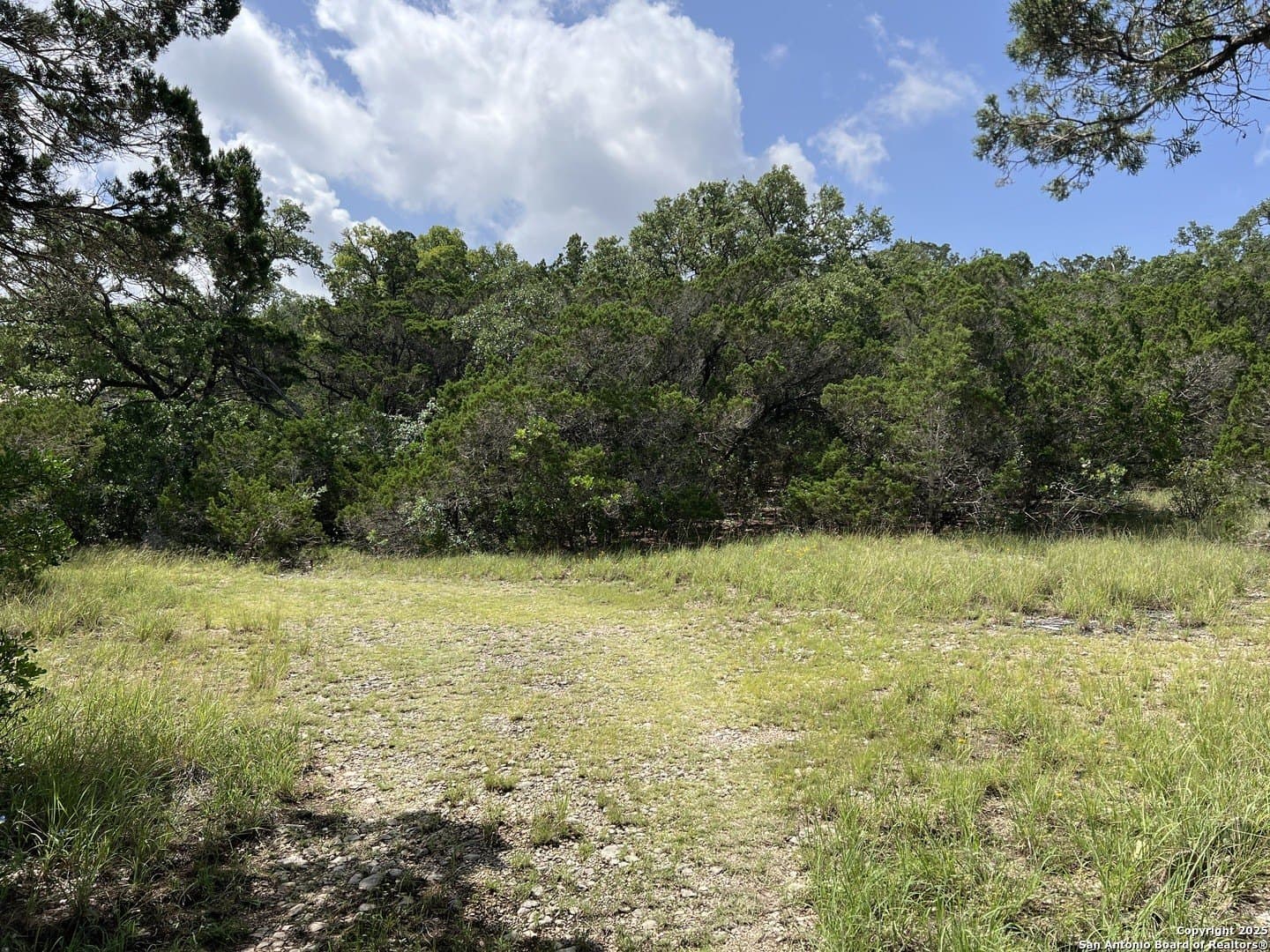 15.28 acres in Bexar County gallery image 2