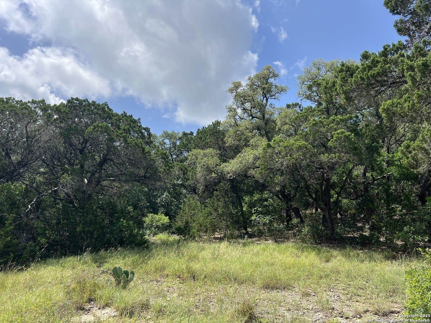 15.28 acres in Bexar County