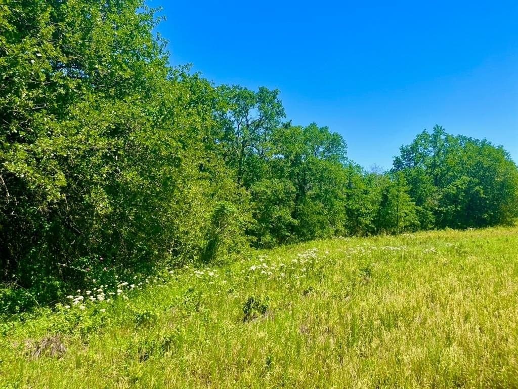 2 acres in Parker County