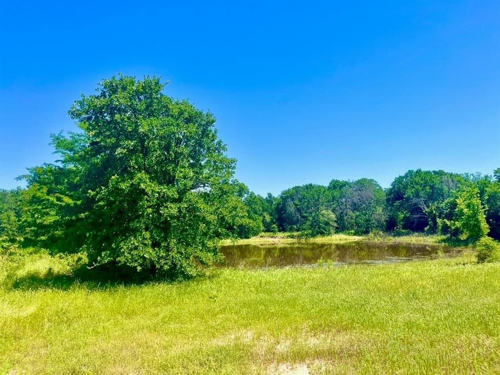 2 acres in Parker County gallery image 2