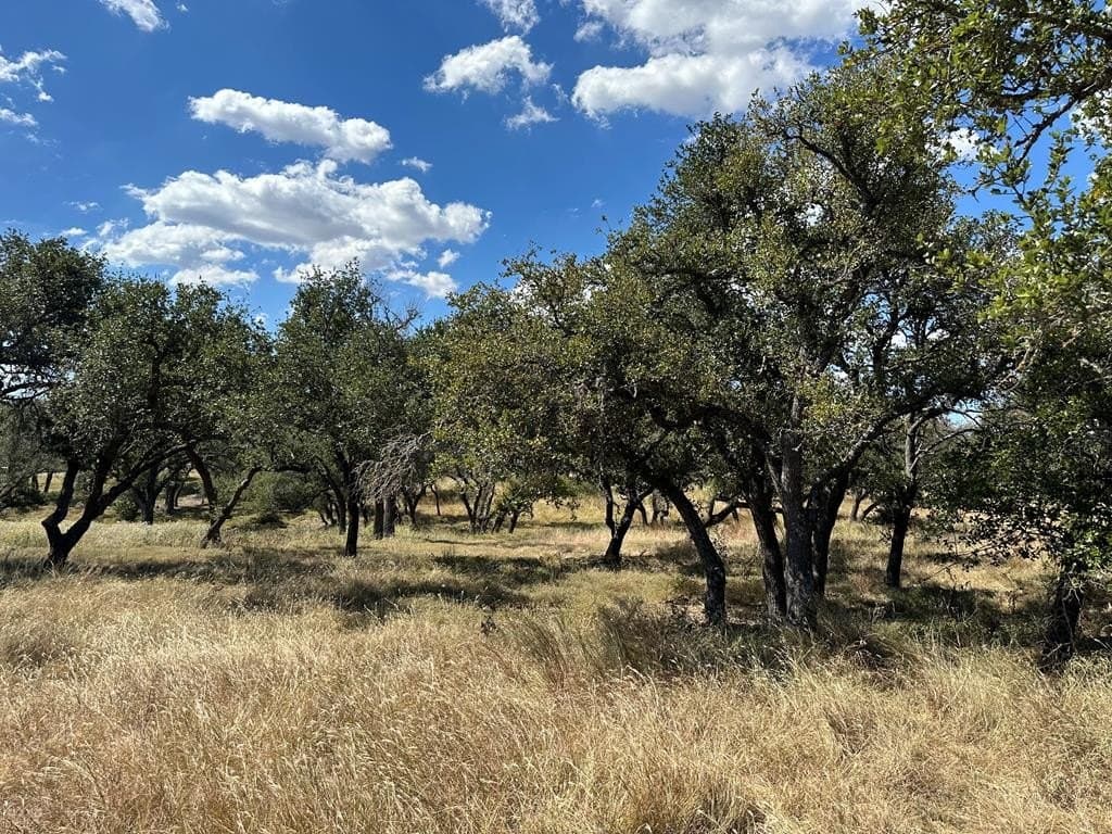 11.23 acres in Gillespie County featured view