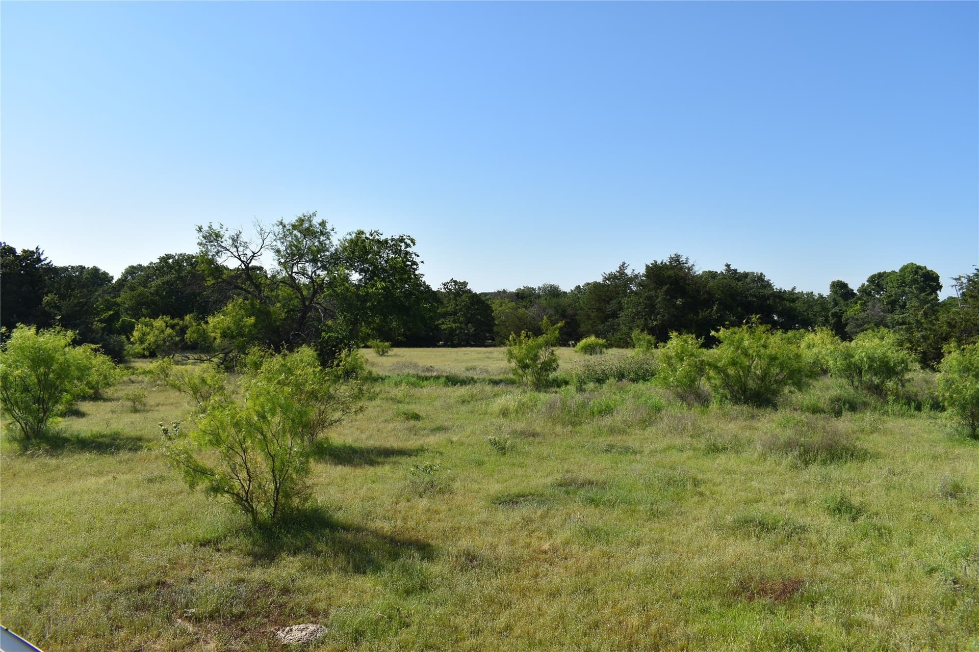 8.56 acres in Wise County featured view