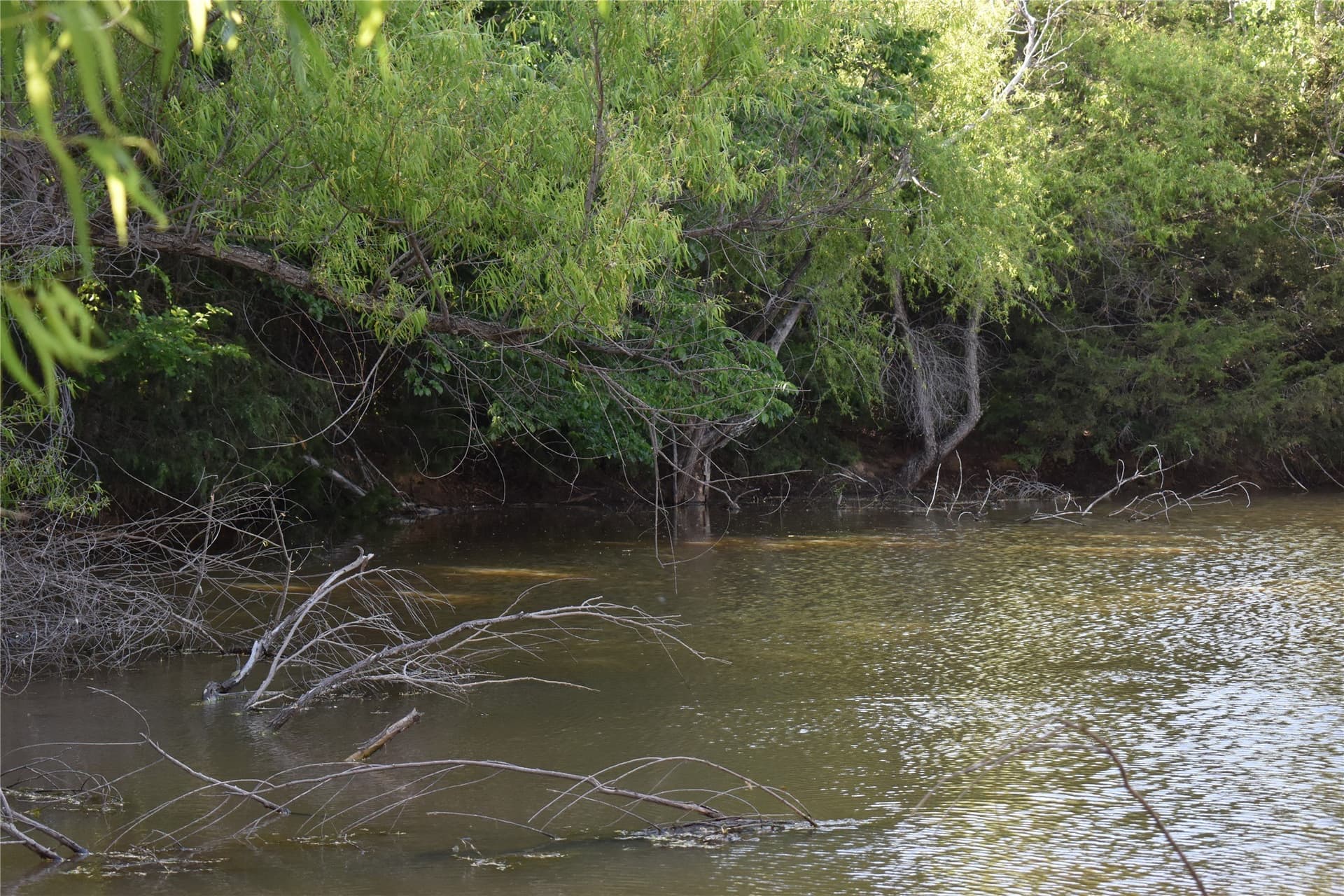 8.56 acres in Wise County - photo 9