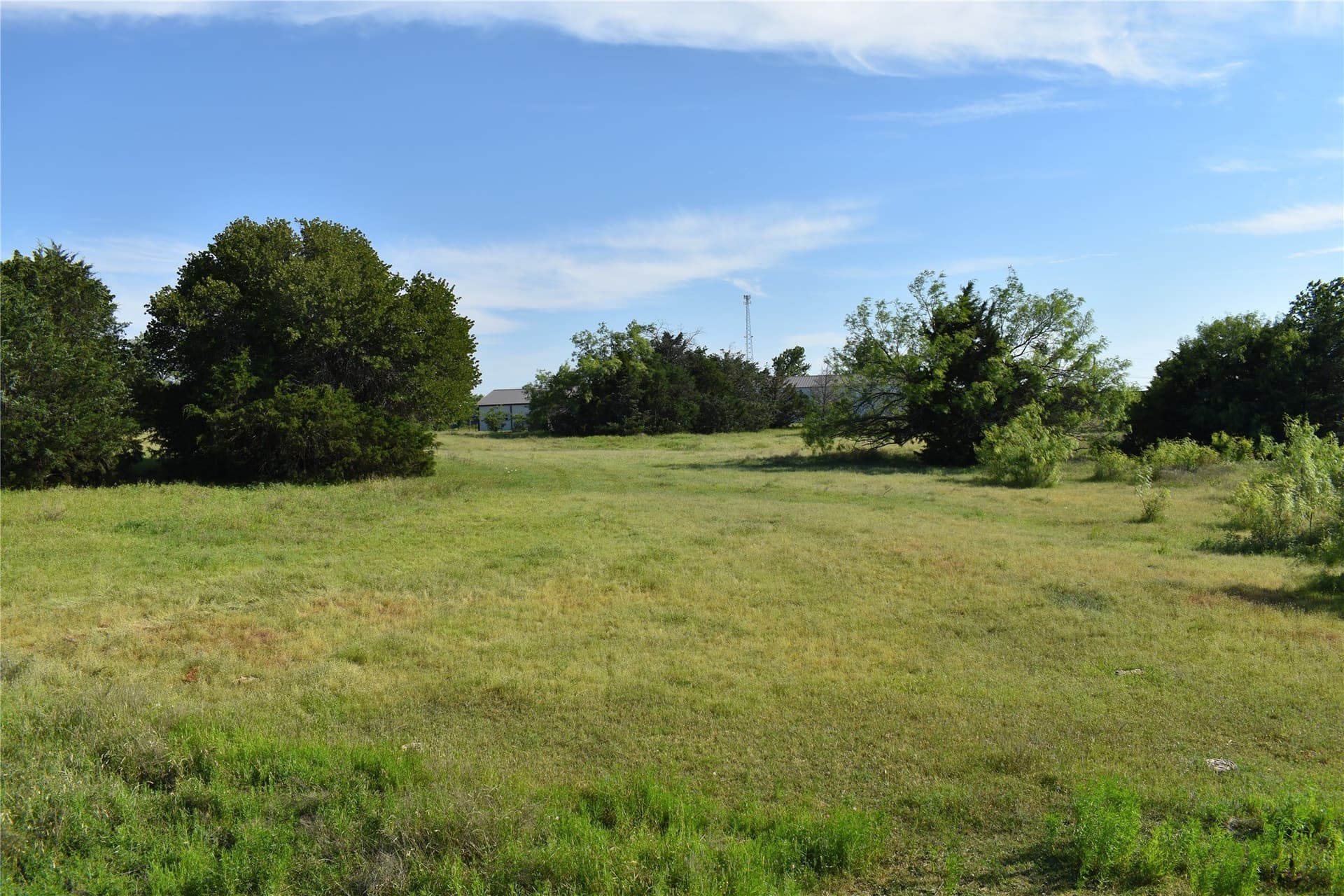 8.56 acres in Wise County gallery image 4