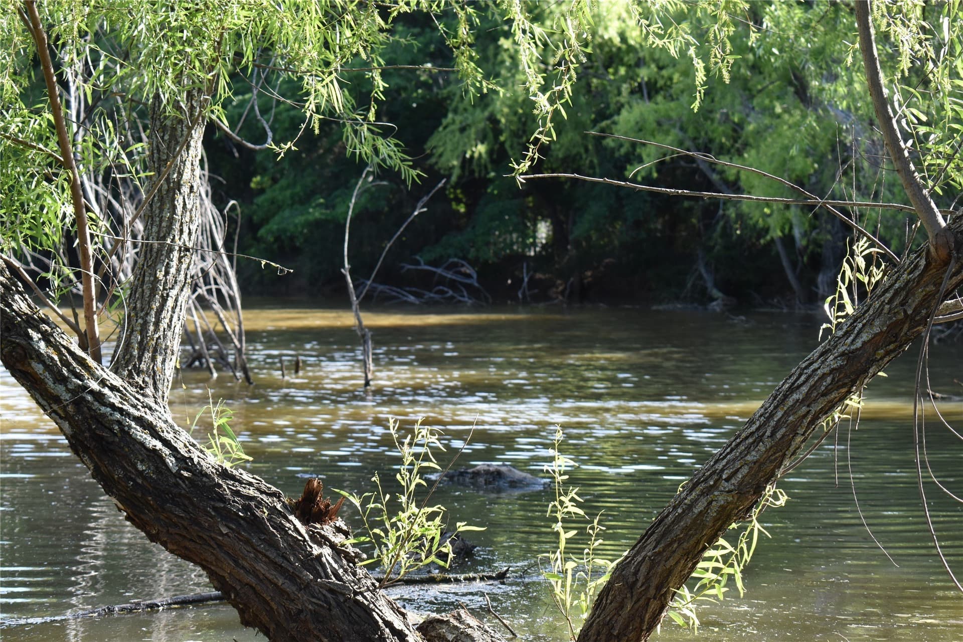 8.56 acres in Wise County - photo 11