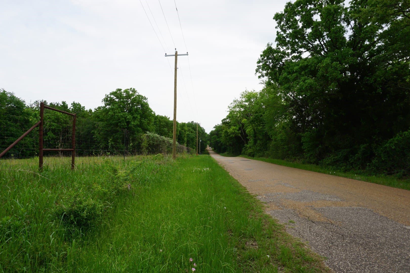 45 acres in Henderson County - photo 2