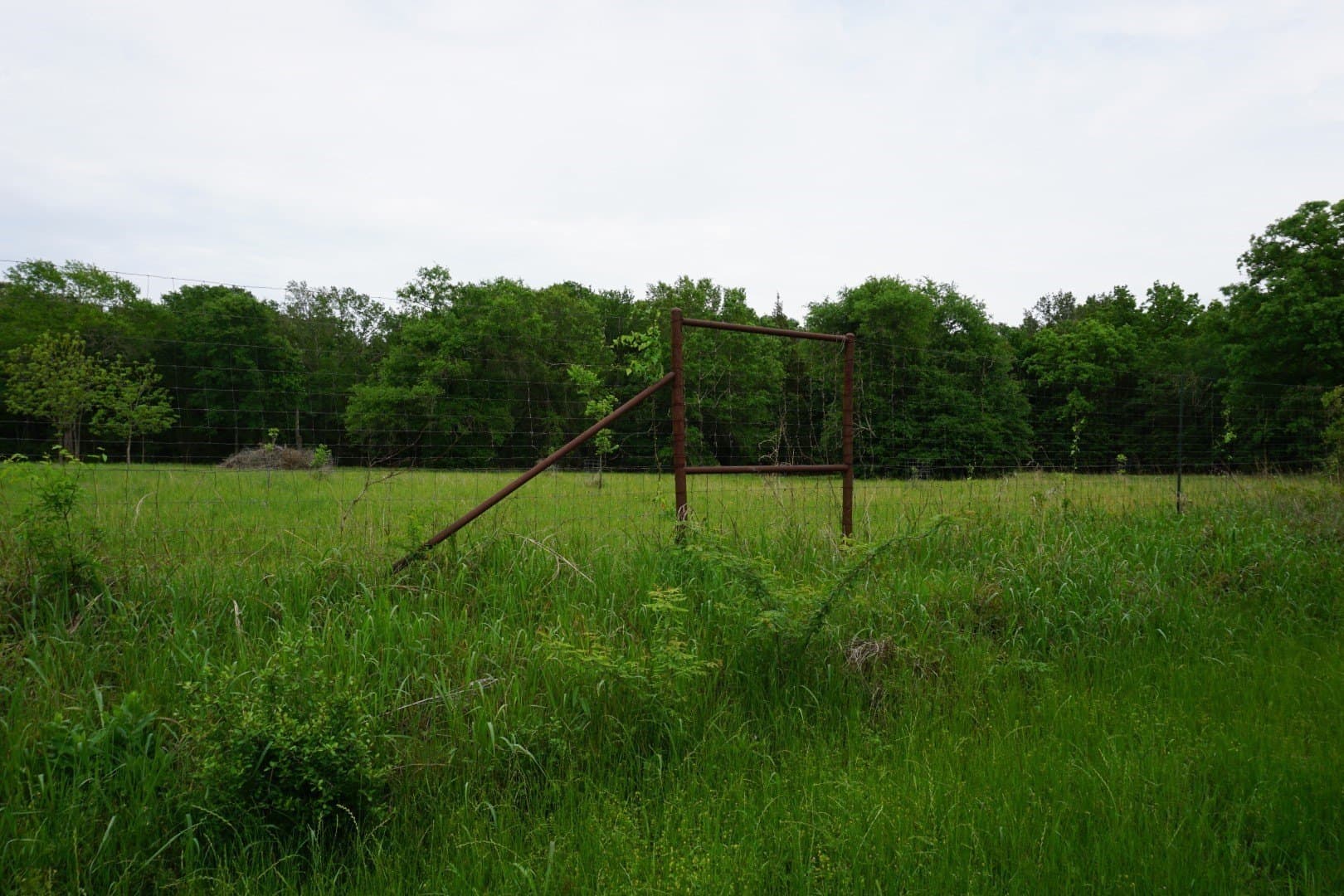 45 acres in Henderson County - photo 17