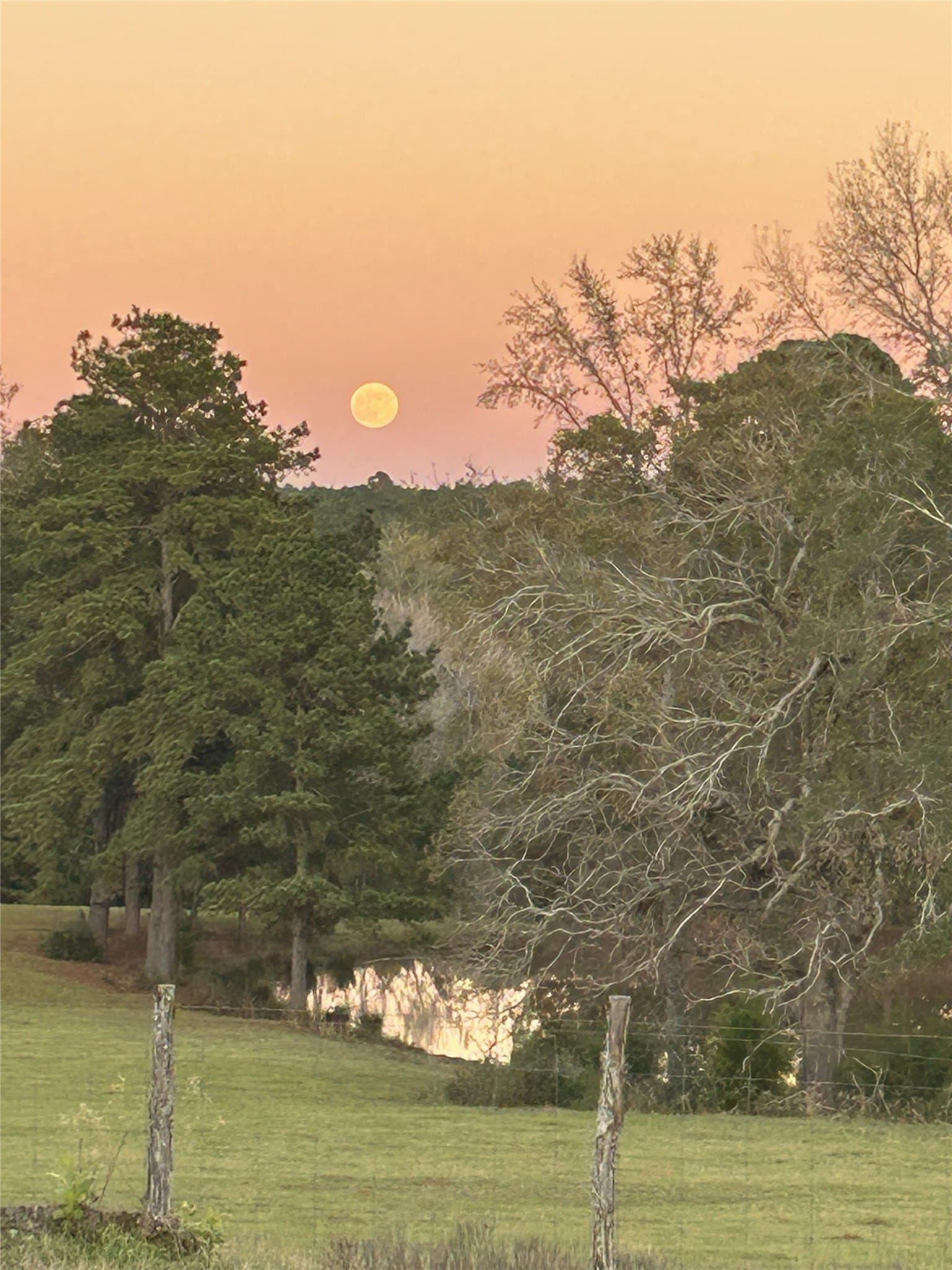 98 acres in Rusk County - photo 15