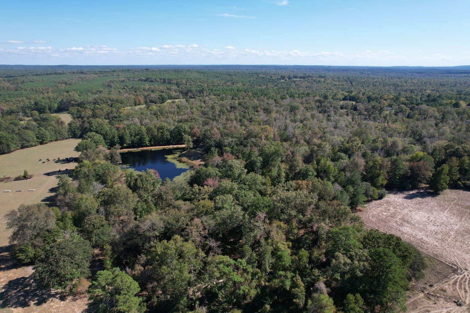 98 acres in Rusk County - photo 11