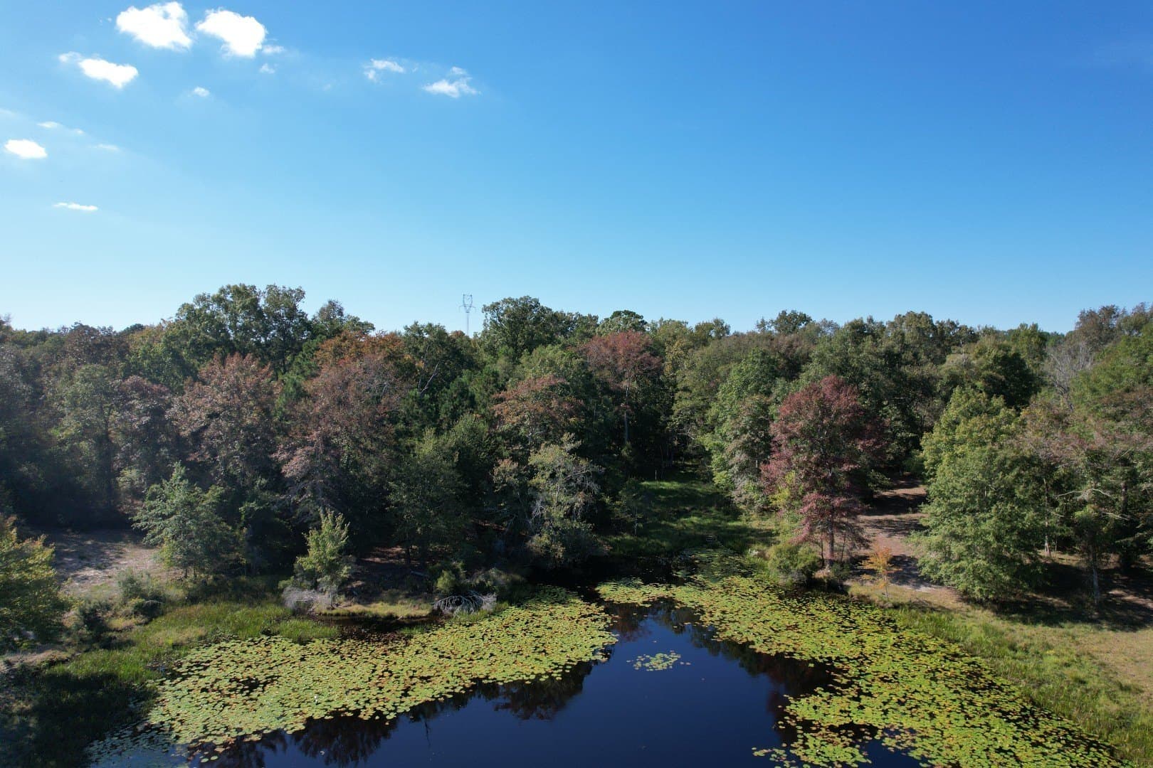 98 acres in Rusk County - photo 10