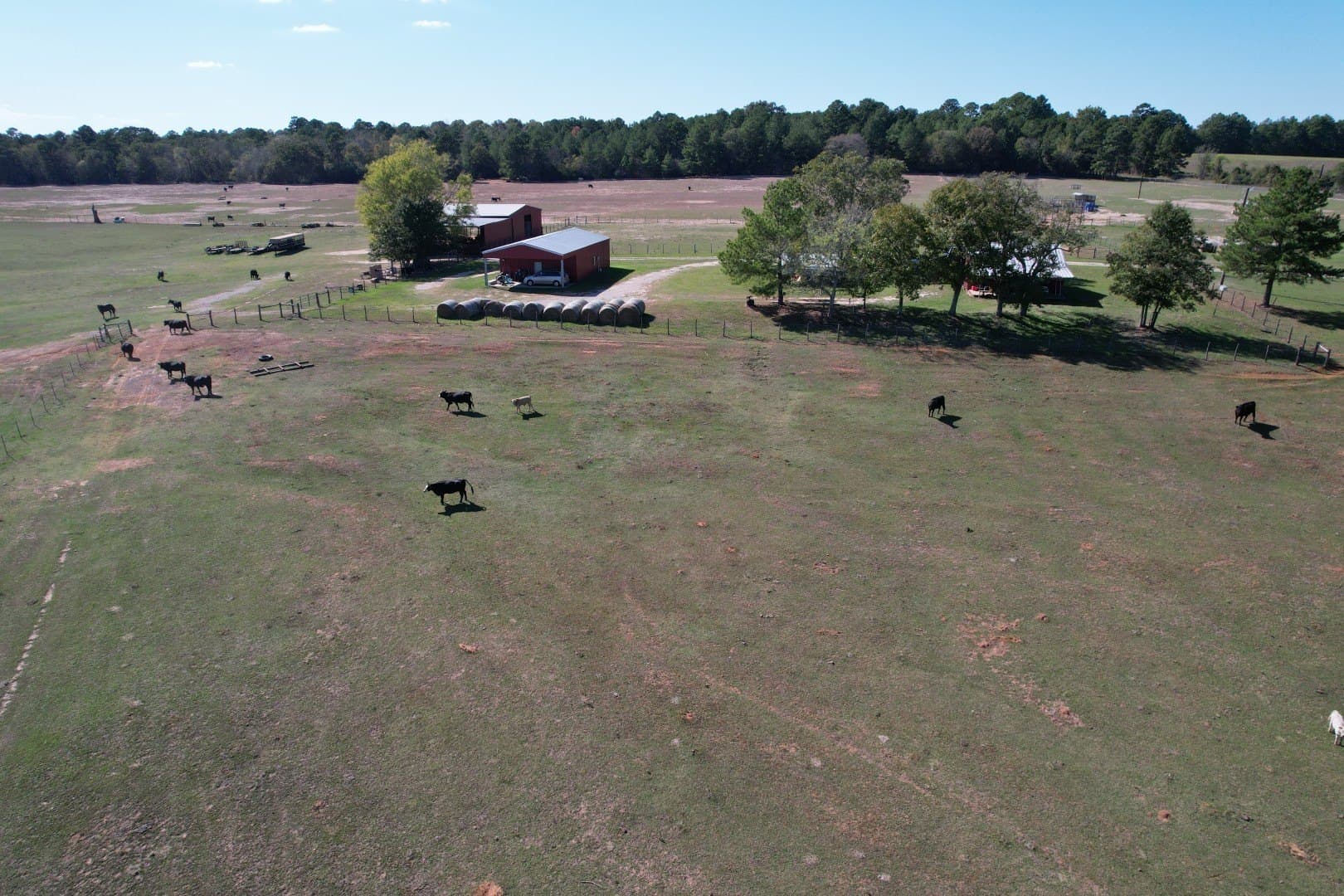 98 acres in Rusk County - photo 4