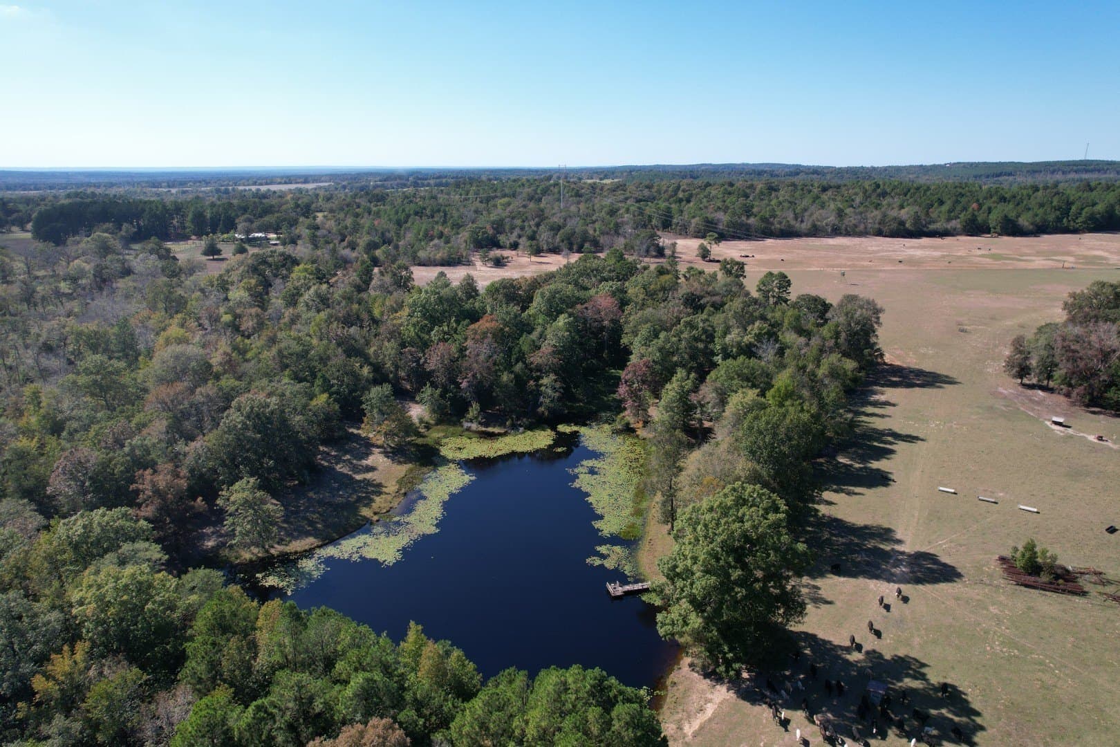 98 acres in Rusk County - photo 9