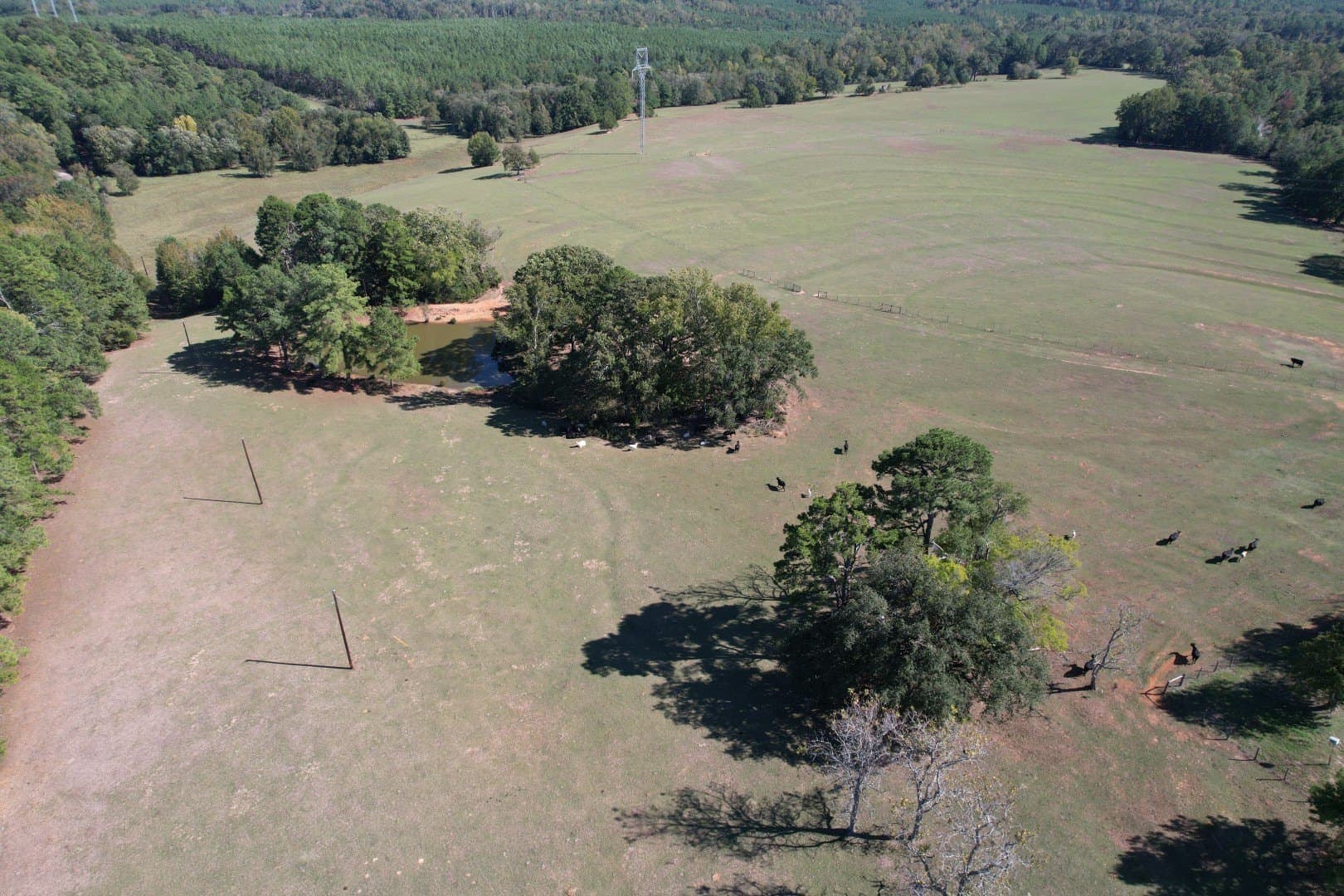 98 acres in Rusk County - photo 2