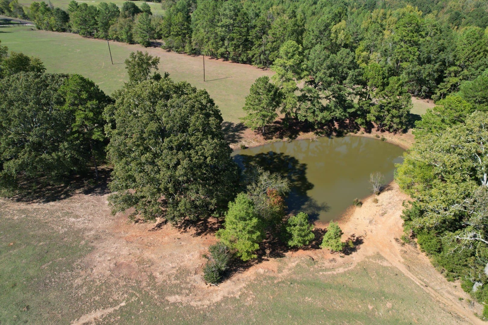 98 acres in Rusk County - photo 3