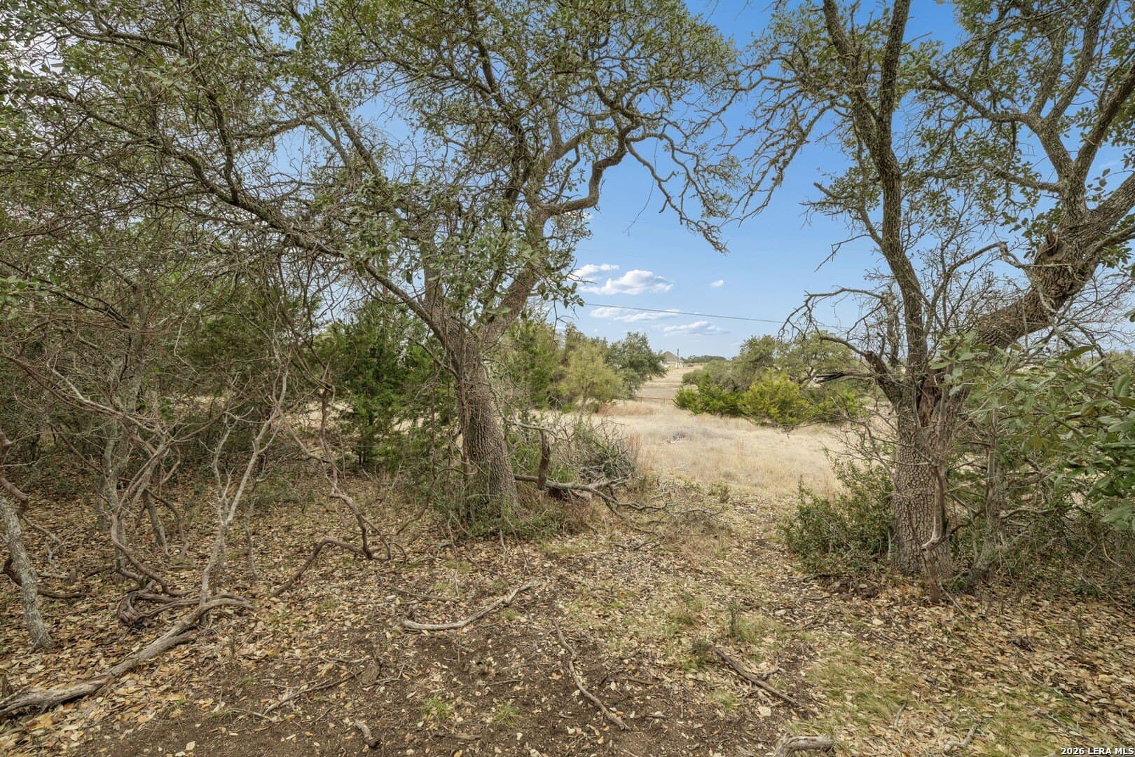 0.3 acres in Blanco County - photo 26