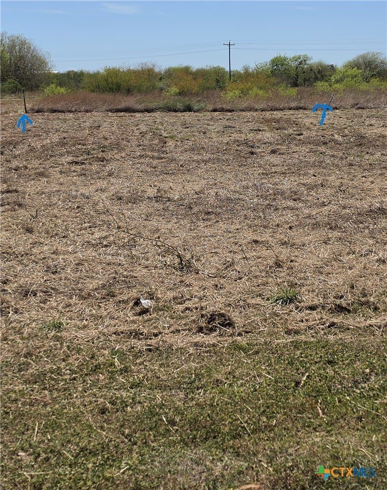 0.49 acres in Calhoun County gallery image 2