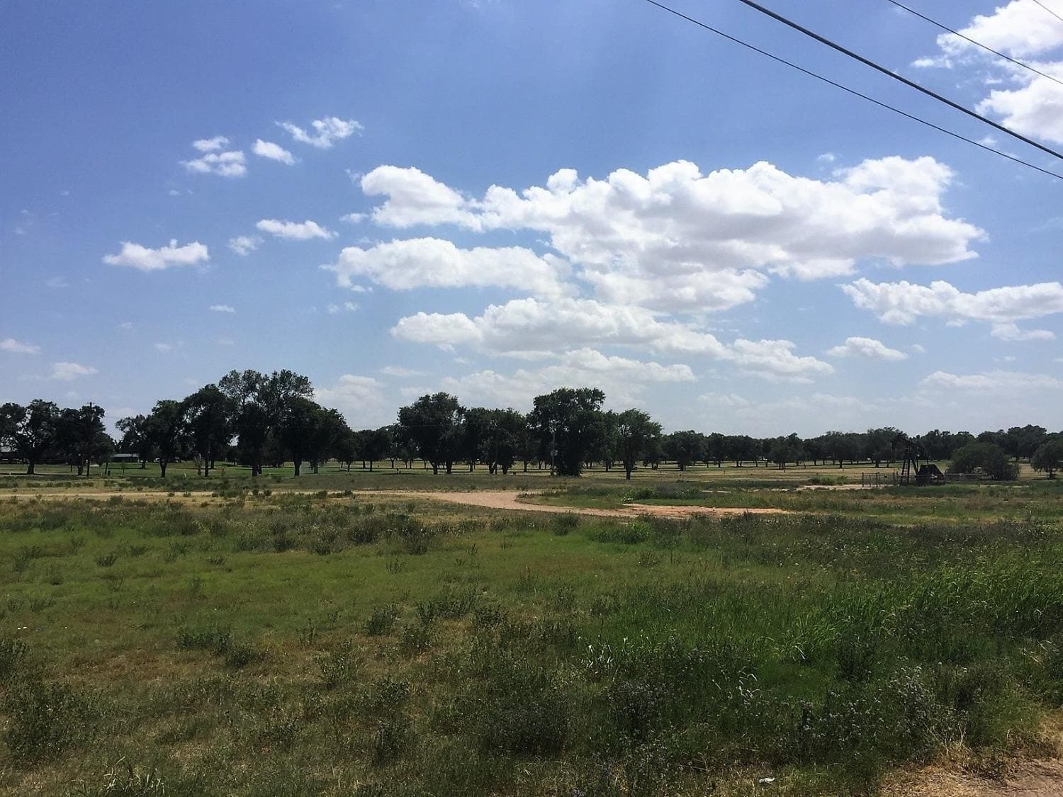 20 acres in Hockley County - photo 7