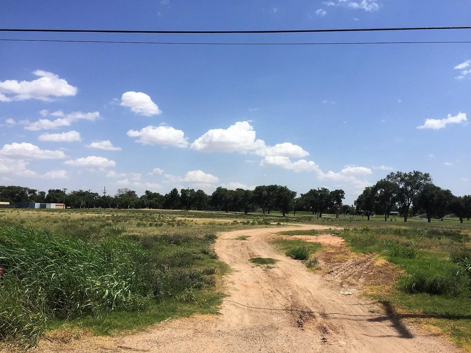 20 acres in Hockley County - photo 8