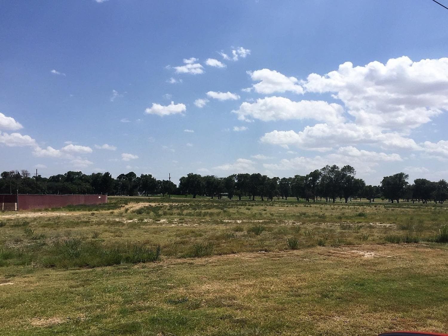 20 acres in Hockley County - photo 6