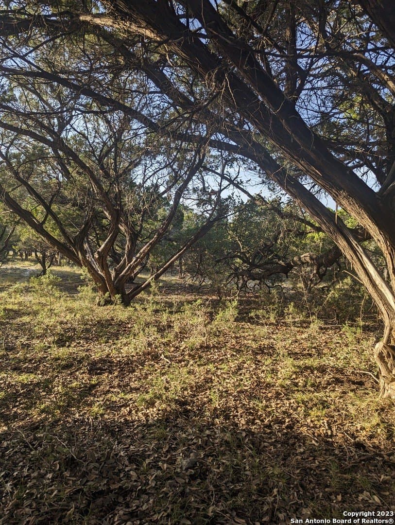 0.12 acres in Bandera County - photo 7