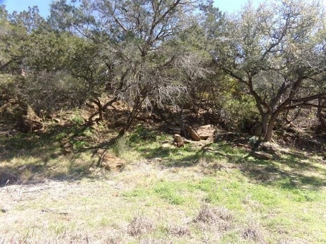 0.02 acres in Burnet County - photo 6