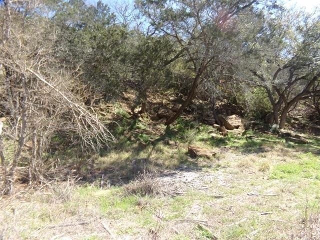 0.02 acres in Burnet County - photo 7