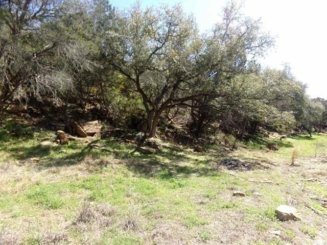 0.02 acres in Burnet County featured view