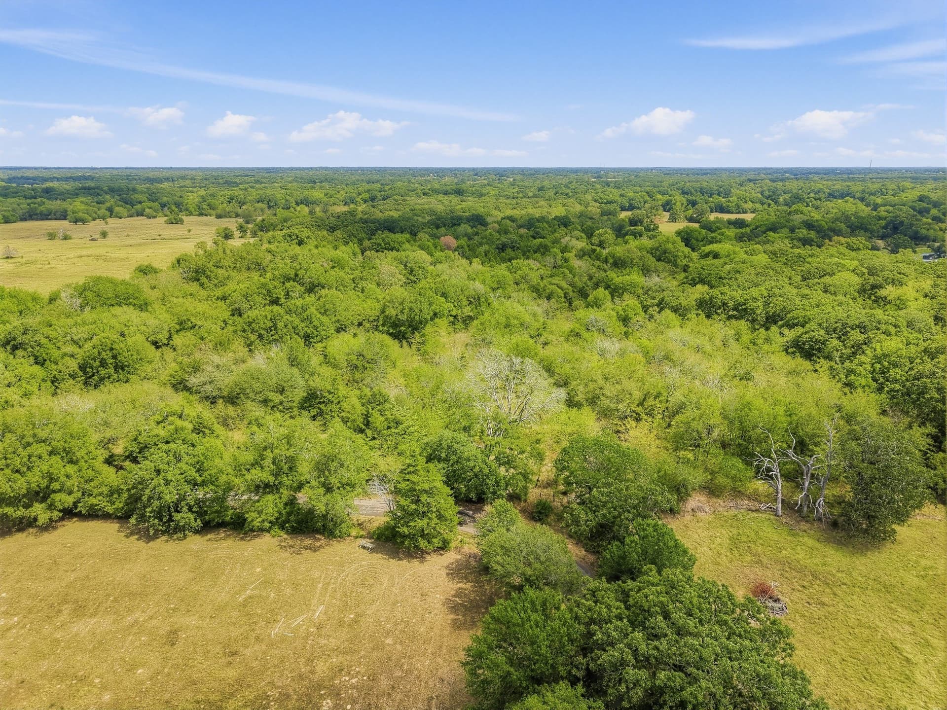53.42 acres in Hopkins County - photo 16