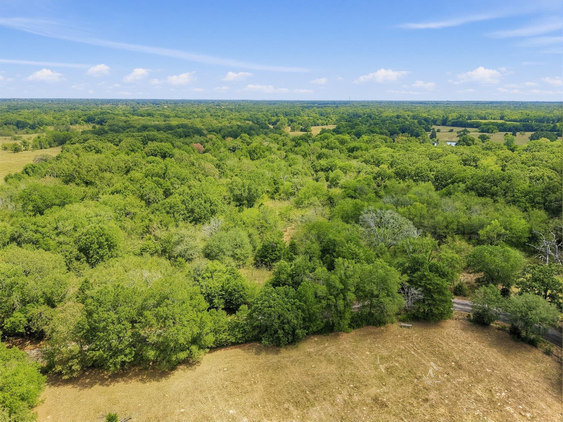 53.42 acres in Hopkins County - photo 15