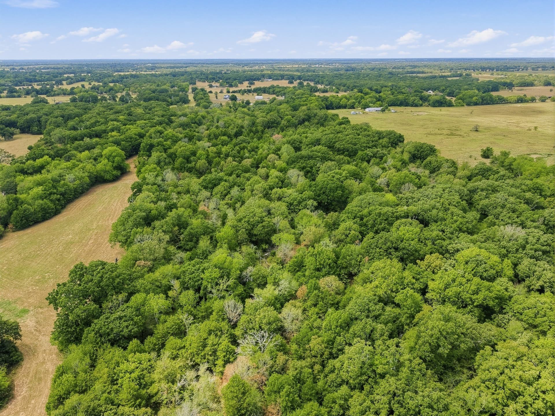 53.42 acres in Hopkins County - photo 9