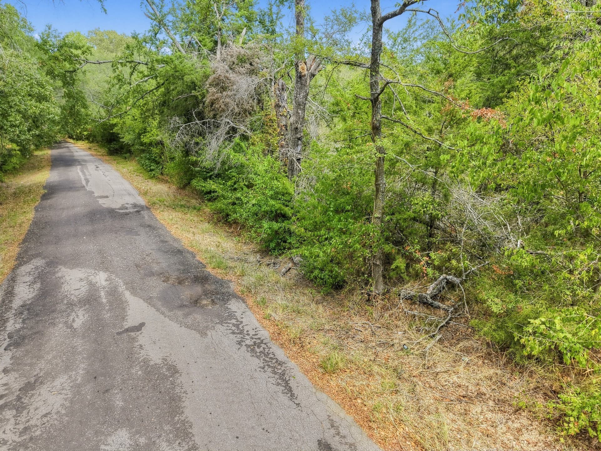 53.42 acres in Hopkins County - photo 17