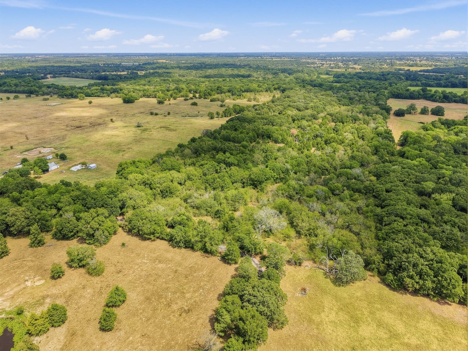 53.42 acres in Hopkins County - photo 2