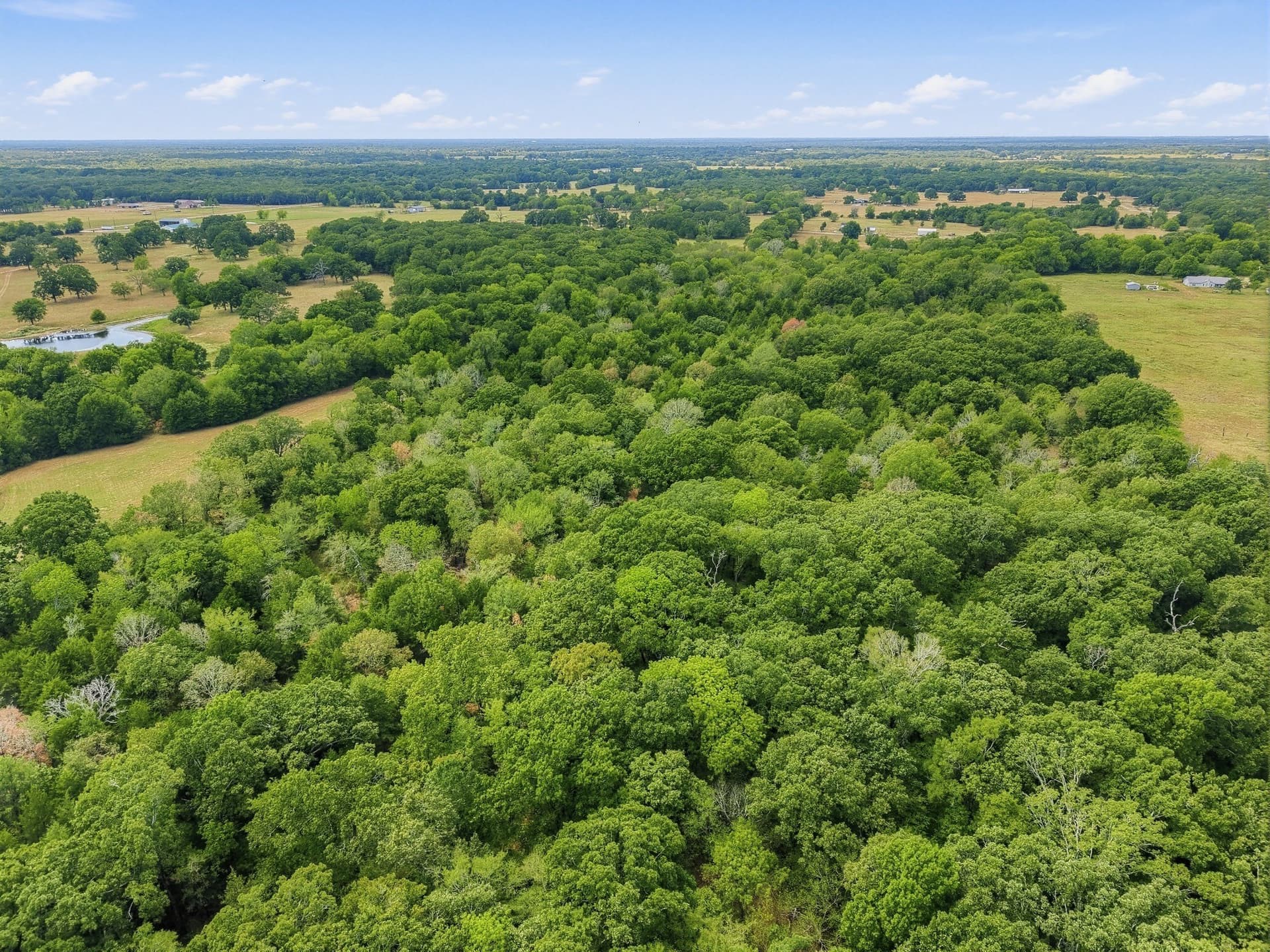 53.42 acres in Hopkins County - photo 10