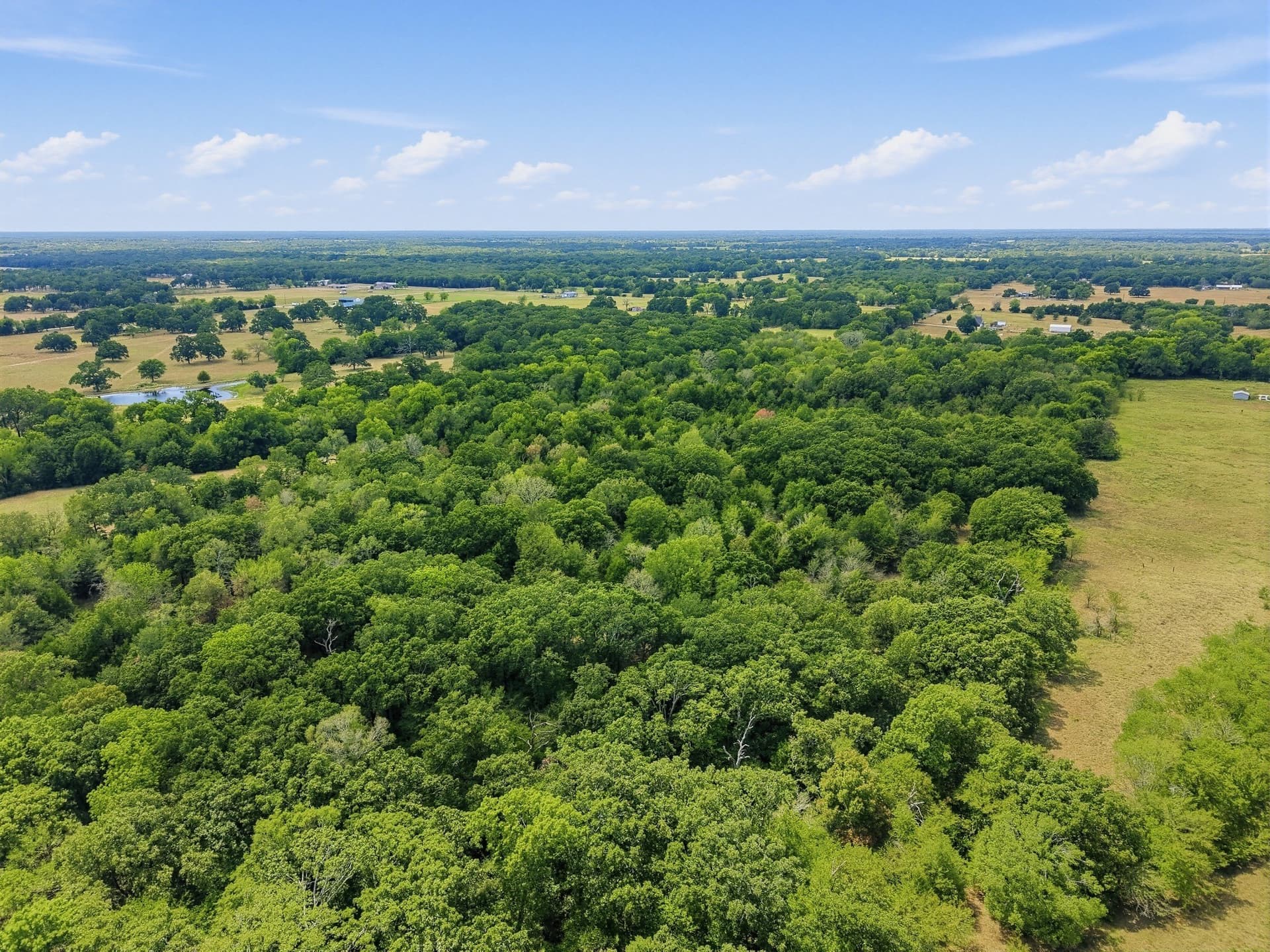 53.42 acres in Hopkins County - photo 11