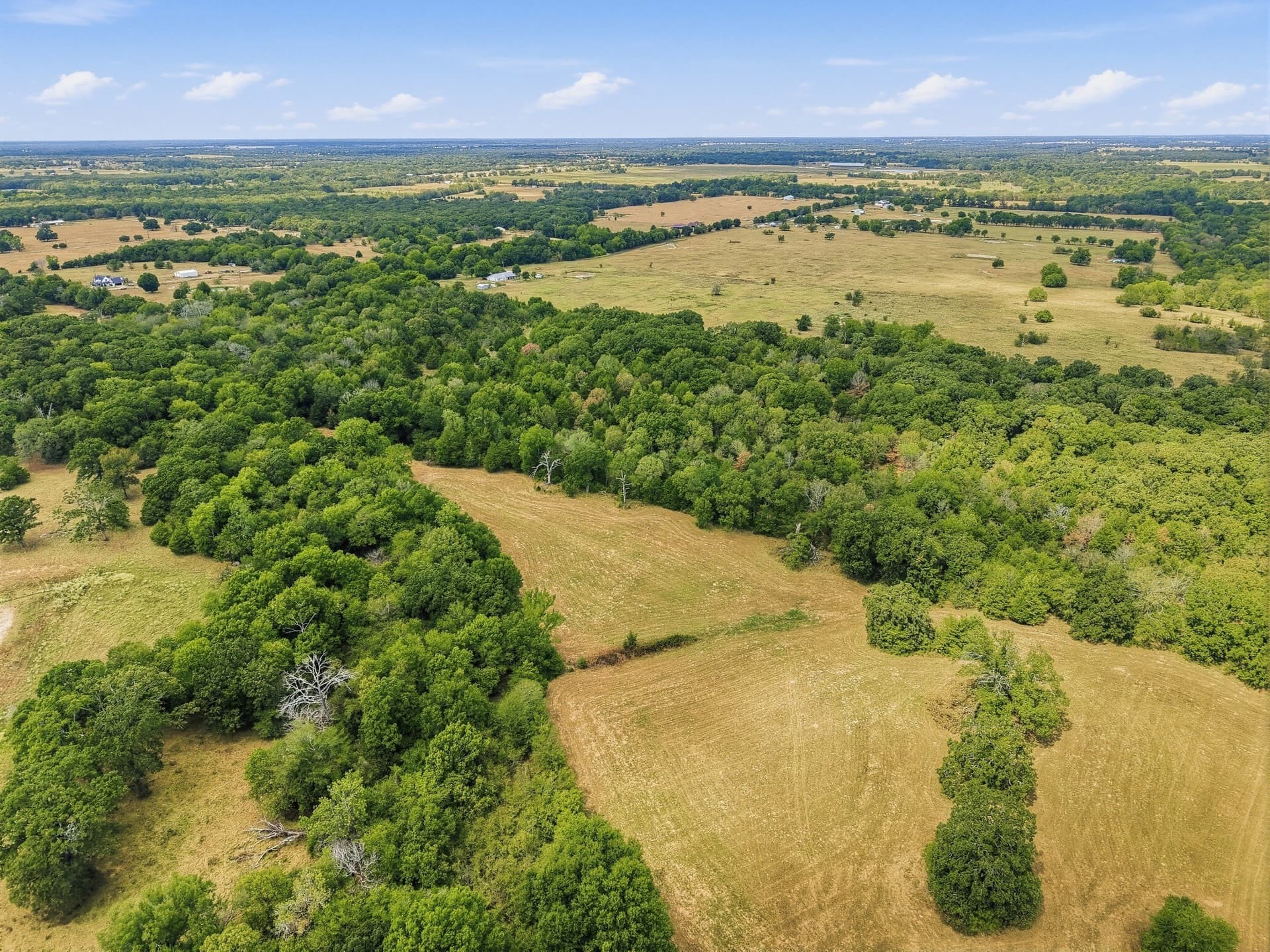 53.42 acres in Hopkins County - photo 5