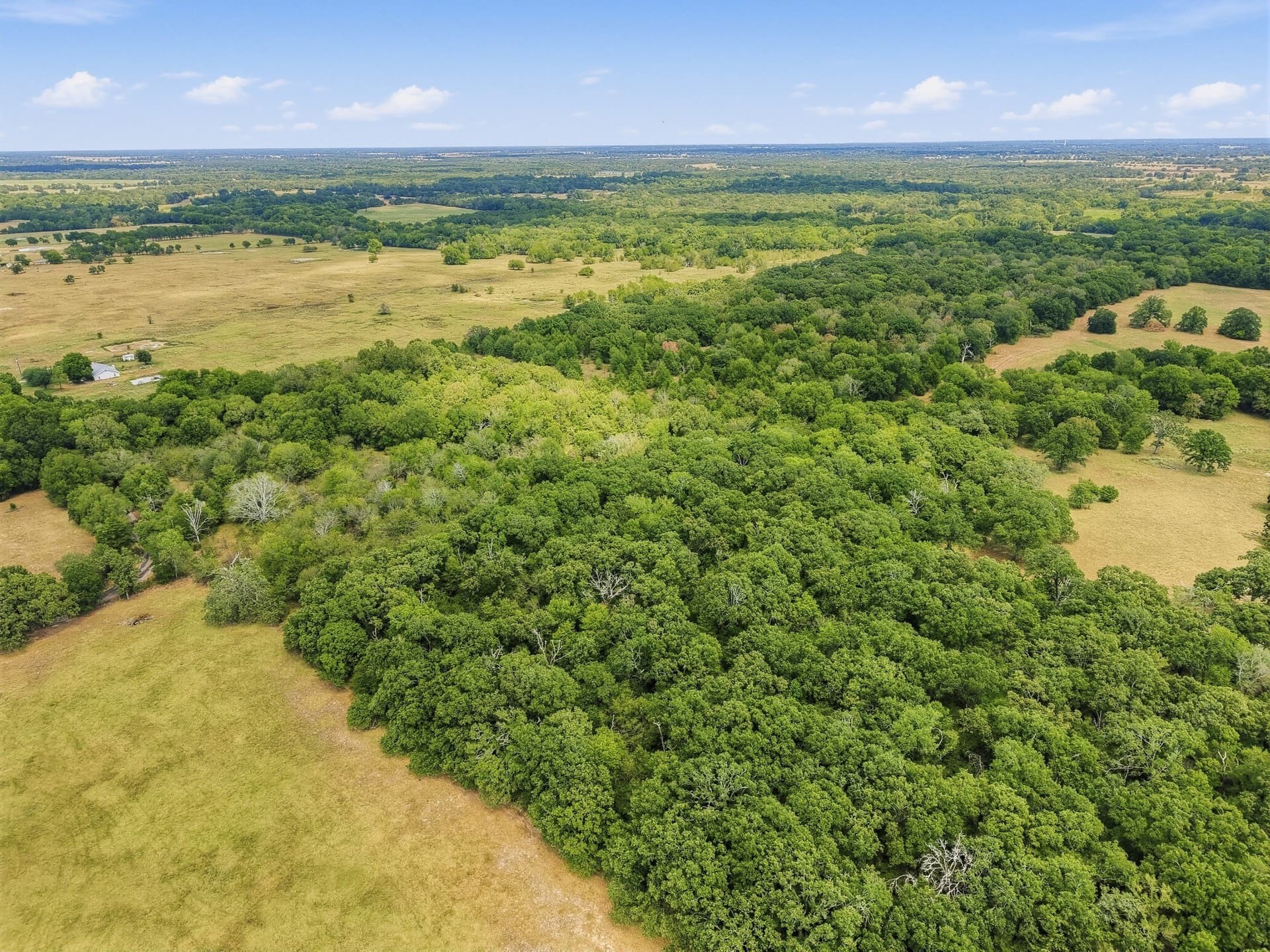 53.42 acres in Hopkins County - photo 3