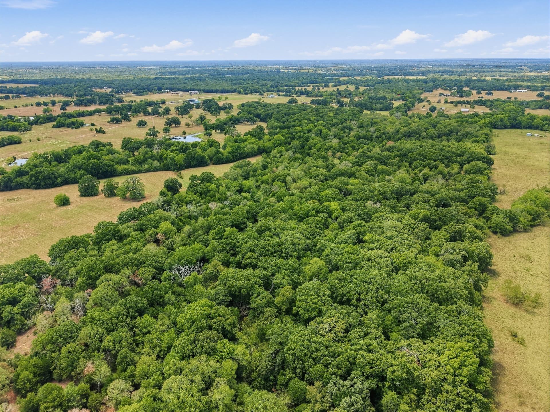 53.42 acres in Hopkins County - photo 7