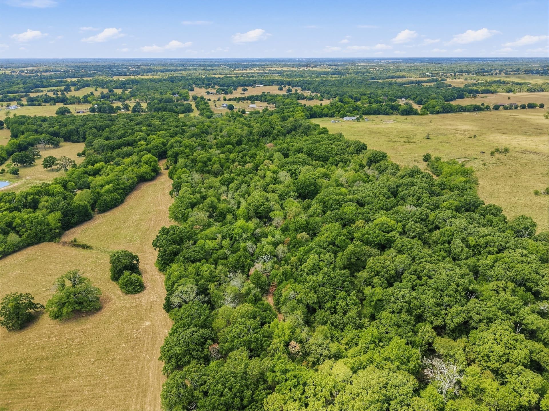 53.42 acres in Hopkins County - photo 8
