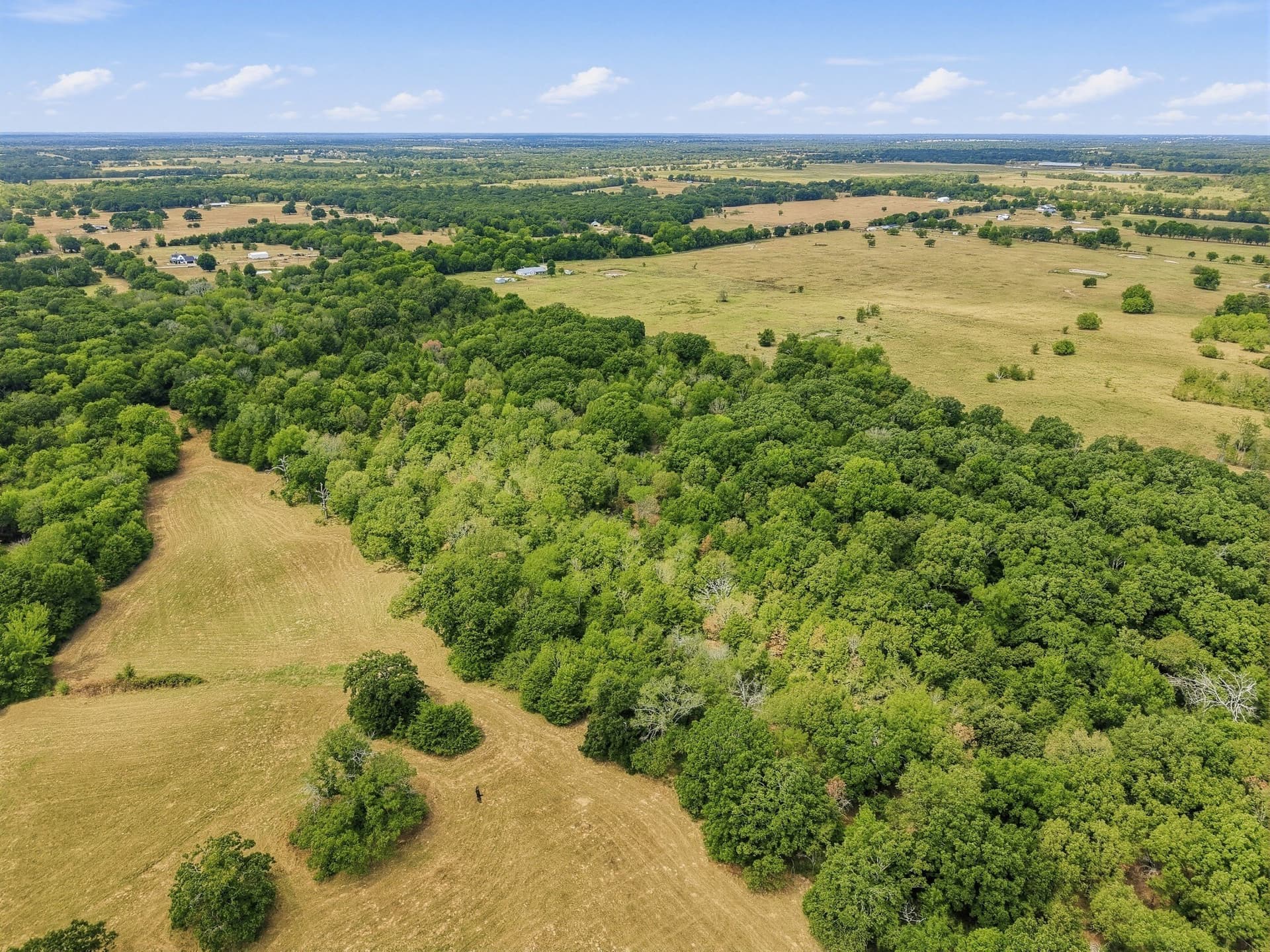 53.42 acres in Hopkins County - photo 6