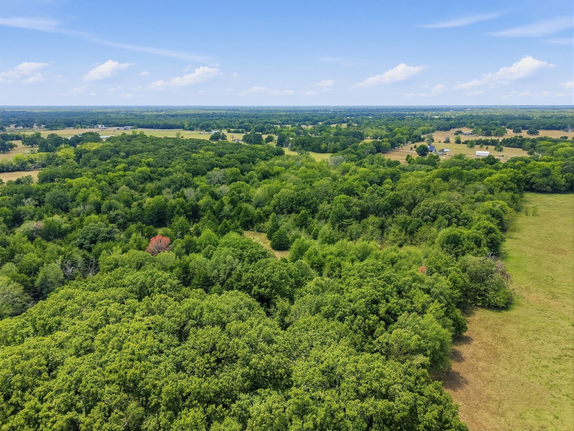 53.42 acres in Hopkins County - photo 12