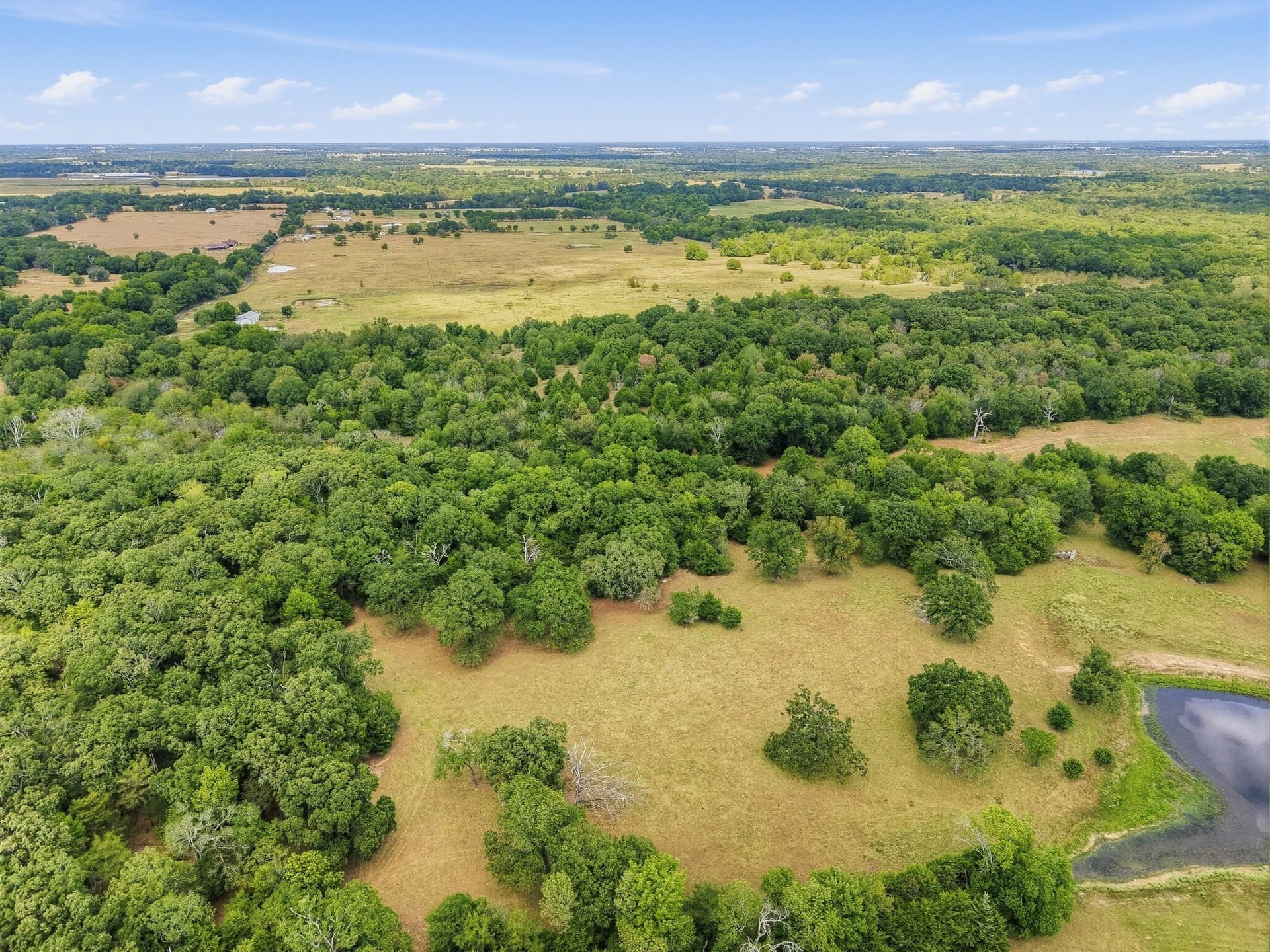 53.42 acres in Hopkins County - photo 4