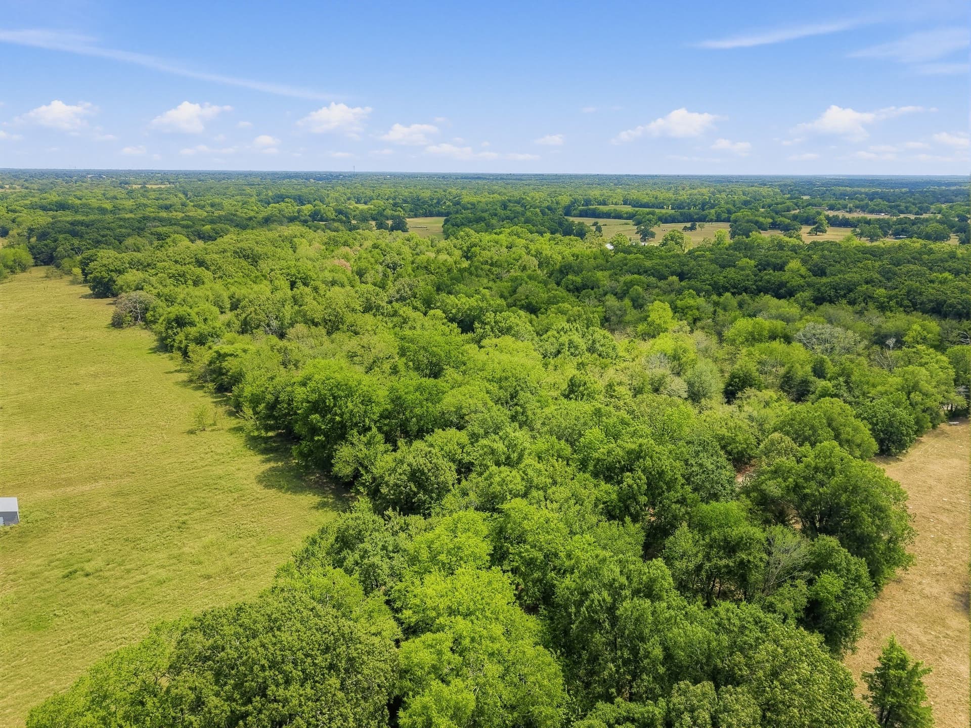 53.42 acres in Hopkins County - photo 14