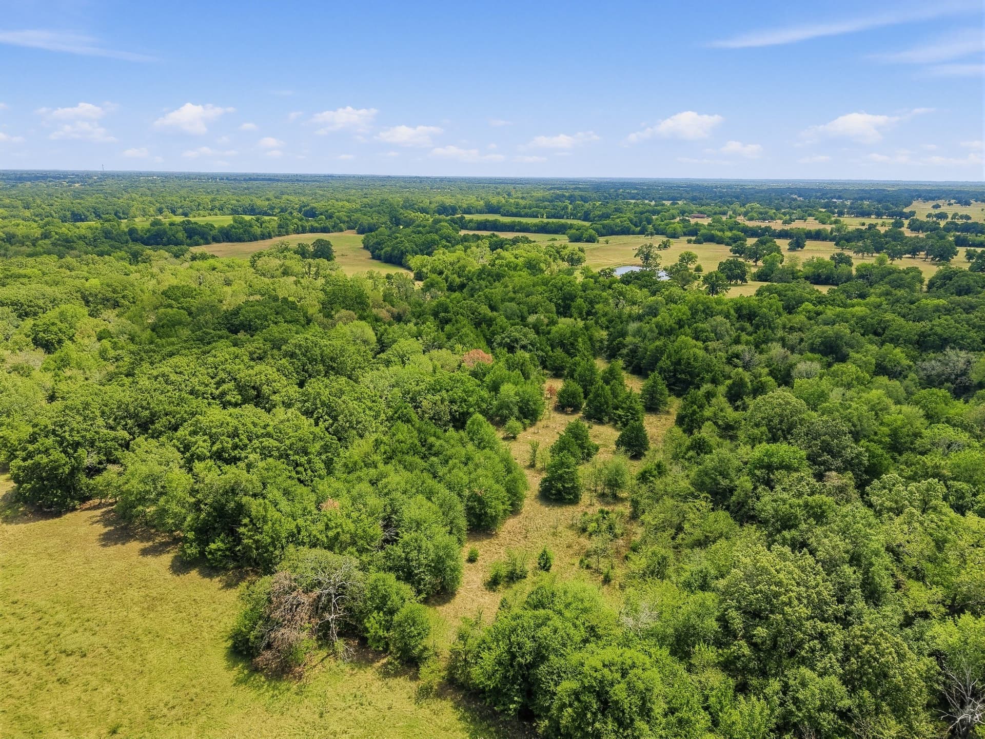 53.42 acres in Hopkins County - photo 13